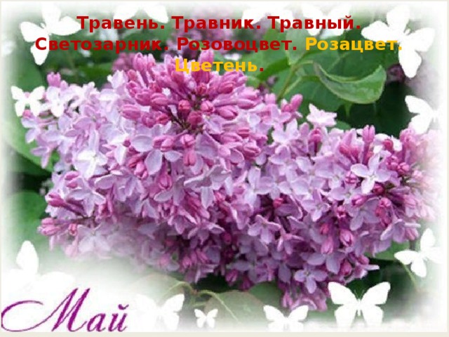 Травень. Травник. Травный. Светозарник. Розовоцвет. Розацвет. Цветень . 