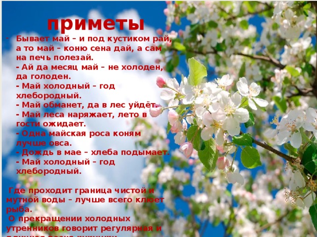приметы Бывает май – и под кустиком рай, а то май – коню сена дай, а сам на печь полезай.   - Ай да месяц май – не холоден, да голоден.   - Май холодный – год хлебородный.   - Май обманет, да в лес уйдёт.   - Май леса наряжает, лето в гости ожидает.   - Одна майская роса коням лучше овса.   - Дождь в мае – хлеба подымает.   - Май холодный – год хлебородный.    Где проходит граница чистой и мутной воды – лучше всего клюет рыба.   О прекращении холодных утренников говорит регулярная и длинная песня кукушки.  - В рубахах пахать – в шубах сеять.  - Как зацветёт рябина – наступит продолжительное тепло.  - Зацвели яблони – земля согрелась. 