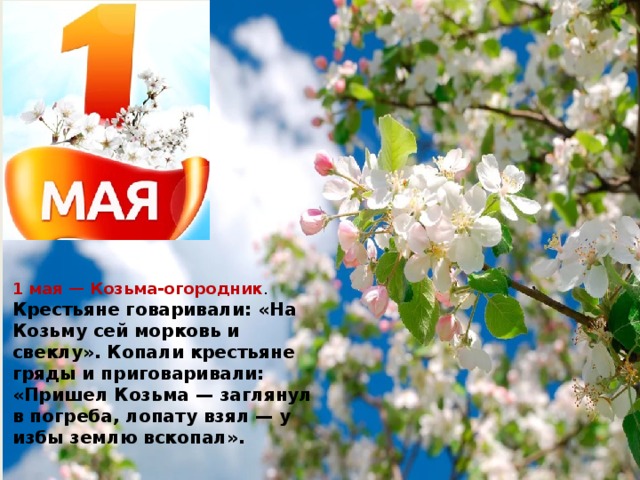 1 мая — Козьма-огородник . Крестьяне говаривали: «На Козьму сей морковь и свеклу». Копали крестьяне гряды и приговаривали: «Пришел Козьма — заглянул в погреба, лопату взял — у избы землю вскопал». 