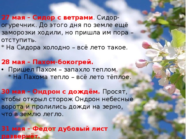 27 мая – Сидор с ветрами . Сидор-огуречник. До этого дня по земле ещё заморозки ходили, но пришла им пора – отступить. * На Сидора холодно – всё лето такое.  28 мая – Пахом-бокогрей. Пришел Пахом – запахло теплом.  * На Пахома тепло – всё лето тёплое. 30 мая – Ондрон с дождём. Просят, чтобы открыл сторож Ондрон небесные ворота и пролились дожди на зерно, что в землю легло. 31 мая – Федот дубовый лист развернёт. 