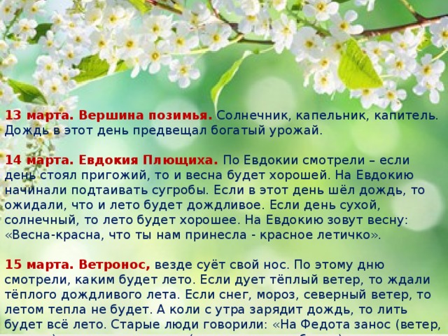 13 марта. Вершина позимья. Солнечник, капельник, капитель. Дождь в этот день предвещал богатый урожай.   14 марта. Евдокия Плющиха. По Евдокии смотрели – если день стоял пригожий, то и весна будет хорошей. На Евдокию начинали подтаивать сугробы. Если в этот день шёл дождь, то ожидали, что и лето будет дождливое. Если день сухой, солнечный, то лето будет хорошее. На Евдокию зовут весну: «Весна-красна, что ты нам принесла - красное летичко».    15 марта. Ветронос, везде суёт свой нос. По этому дню смотрели, каким будет лето. Если дует тёплый ветер, то ждали тёплого дождливого лета. Если снег, мороз, северный ветер, то летом тепла не будет. А коли с утра зарядит дождь, то лить будет всё лето. Старые люди говорили: «На Федота занос (ветер, метель) - все сено снесешь (долго травы не будет)».  
