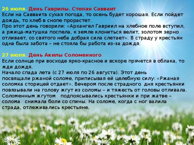    26 июля. День Гаврилы. Степан Савваит Если на Савваита сухая погода, то осень будет хорошая. Если пойдет дождь, то хлеб в снопе прорастет. Про этот день говорили: «Архангел Гавриил на хлебное поле вступил, а ржица‑матушка поспела, к земле клониться велит, золотом зерно отливает, со святого неба добрая сила слетает». В страду у крестьян одна была забота – не стояла бы работа из‑за дождя. 27 июля. День Акилы Соломенного Если солнце при восходе ярко‑красное и вскоре прячется в облака, то жди дождя. Начало спада лета (с 27 июля по 26 августа). Этот день посвящали ржаной соломе, приписывая ей целебную силу: «Ржаная соломка сторицей отдает». Вечером после страдного дня крестьянки повязывали на голову жгут из соломы – и тяжесть от головы отливала. Соломенным жгутом подпоясывались крестьянки и при жатве – солома снимала боли со спины. На соломе, когда с ног валила страда, отлеживались крестьяне. 