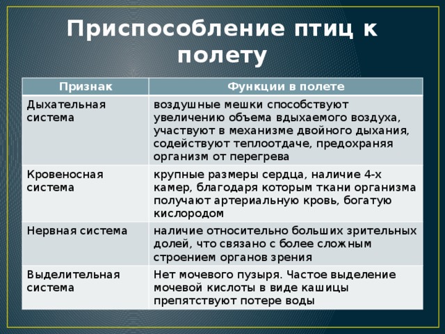 Приспособление птиц к полету Признак Функции в полете Дыхательная система воздушные мешки способствуют увеличению объема вдыхаемого воздуха, участвуют в механизме двойного дыхания, содействуют теплоотдаче, предохраняя организм от перегрева Кровеносная система крупные размеры сердца, наличие 4-х камер, благодаря которым ткани организма получают артериальную кровь, богатую кислородом Нервная система наличие относительно больших зрительных долей, что связано с более сложным строением органов зрения Выделительная система Нет мочевого пузыря. Частое выделение мочевой кислоты в виде кашицы препятствуют потере воды 