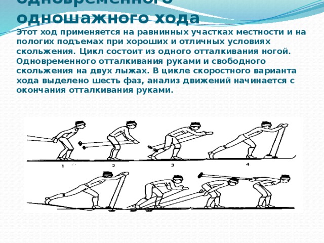 Скоростной вариант одновременного одношажного хода  Этот ход применяется на равнинных участках местности и на пологих подъемах при хороших и отличных условиях скольжения. Цикл состоит из одного отталкивания ногой. Одновременного отталкивания руками и свободного скольжения на двух лыжах. В цикле скоростного варианта хода выделено шесть фаз, анализ движений начинается с окончания отталкивания руками.     