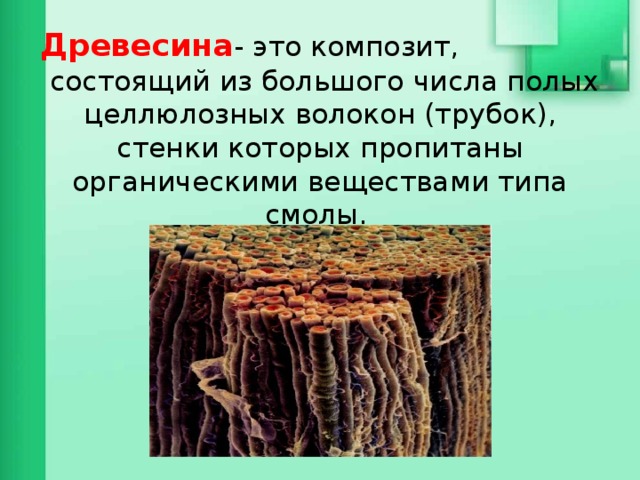 Древесина - это композит, состоящий из большого числа полых целлюлозных волокон (трубок), стенки которых пропитаны органическими веществами типа смолы. 