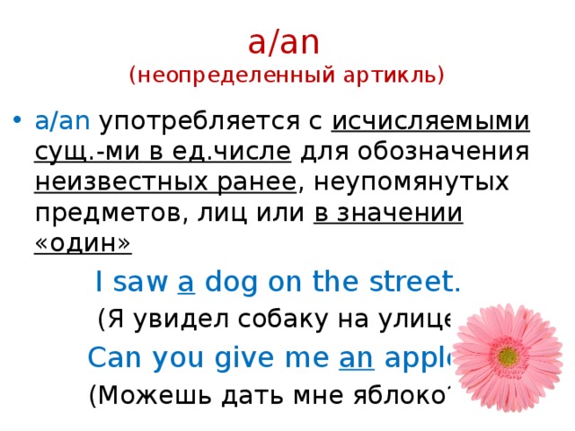 a/an   (неопределенный артикль) a/an употребляется с исчисляемыми сущ.-ми в ед.числе для обозначения неизвестных ранее , неупомянутых предметов, лиц или в значении «один» I saw a dog on the street. (Я увидел собаку на улице) Can you give me an apple? (Можешь дать мне яблоко?) 