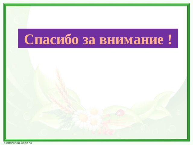 Спасибо за внимание ! 