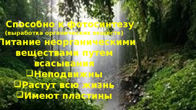 Способно к фотосинтезу (выработка органических веществ) Питание неорганическими веществами путем всасывания Неподвижны Растут всю жизнь Имеют пластины   
