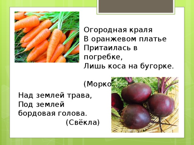 Огородная краля В оранжевом платье Притаилась в погребке, Лишь коса на бугорке.  (Морковь) Над землей трава, Под землей бордовая голова.  (Свёкла)