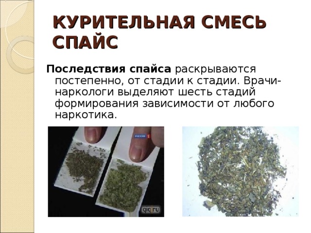 КУРИТЕЛЬНАЯ СМЕСЬ  СПАЙС Последствия спайса раскрываются постепенно, от стадии к стадии. Врачи-наркологи выделяют шесть стадий формирования зависимости от любого наркотика. 
