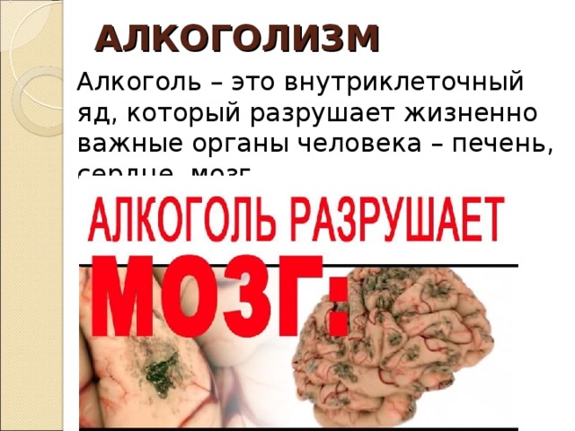 АЛКОГОЛИЗМ Алкоголь – это внутриклеточный яд, который разрушает жизненно важные органы человека – печень, сердце, мозг 