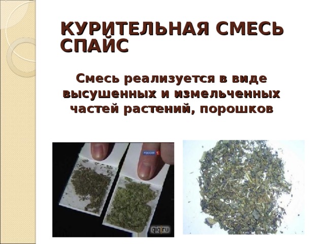 КУРИТЕЛЬНАЯ СМЕСЬ  СПАЙС Смесь реализуется в виде высушенных и измельченных частей растений, порошков 