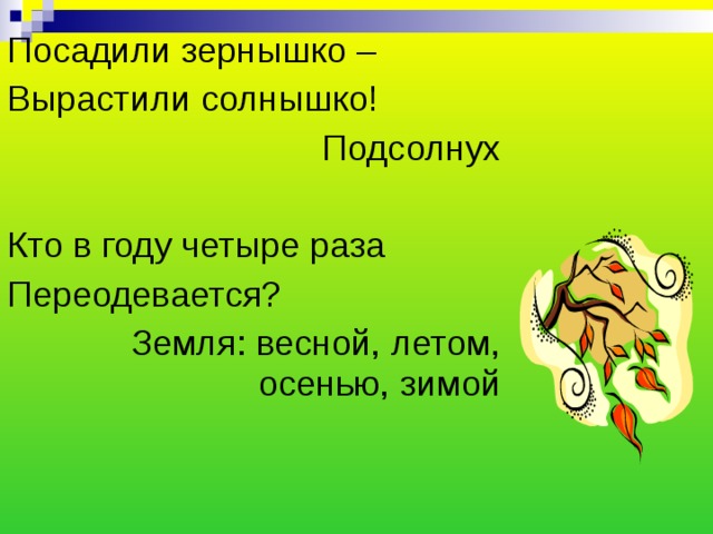 Посадили зернышко – Вырастили солнышко! Подсолнух Кто в году четыре раза Переодевается? Земля: весной, летом, осенью, зимой 