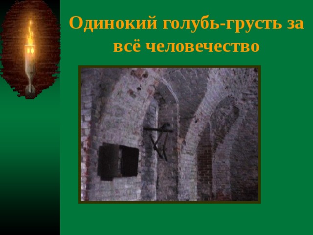 Одинокий голубь-грусть за всё человечество 