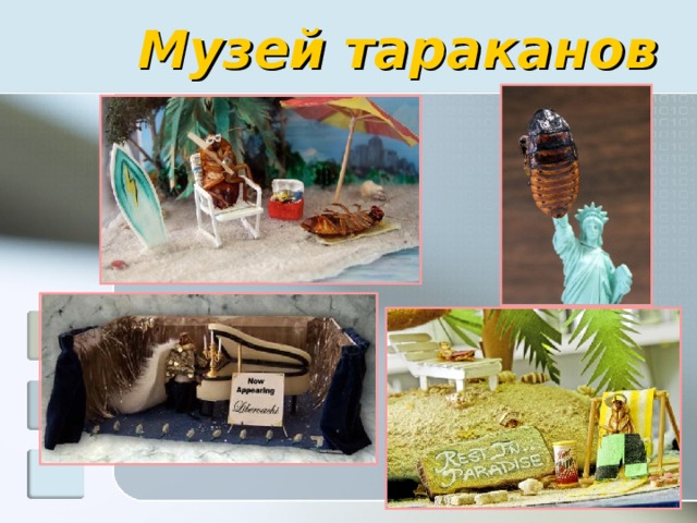 Музей тараканов 