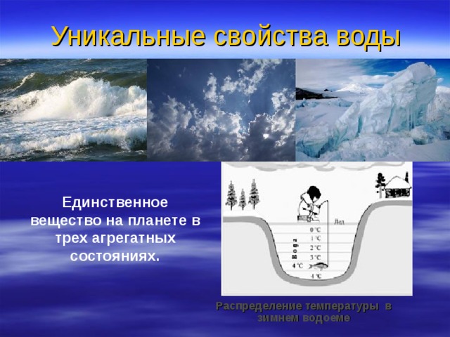 Уникальные свойства воды Единственное вещество на планете в трех агрегатных состояниях. Распределение температуры в зимнем водоеме 
