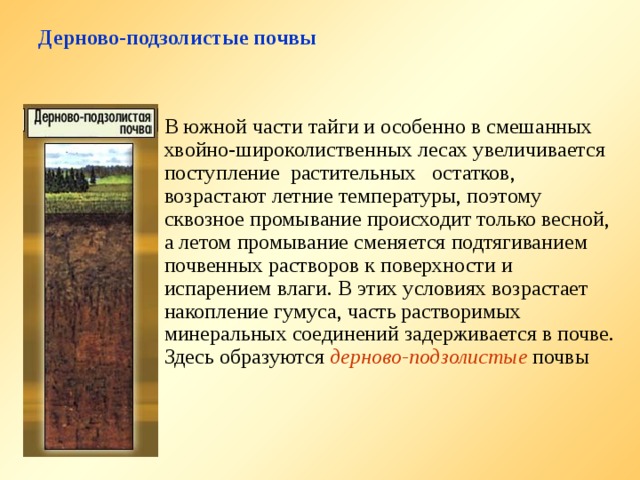 Дерново-подзолистые почвы В южной части тайги и особенно в смешанных хвойно-широколиственных лесах увеличивается поступление растительных остатков, возрастают летние температуры, поэтому сквозное промывание происходит только весной, а летом промывание сменяется подтягиванием почвенных растворов к поверхности и испарением влаги. В этих условиях возрастает накопление гумуса, часть растворимых минеральных соединений задерживается в почве. Здесь образуются дерново-подзолистые почвы 