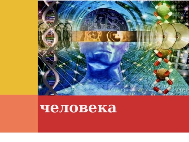 Методы генетики    Медоты изучения генетики человека   