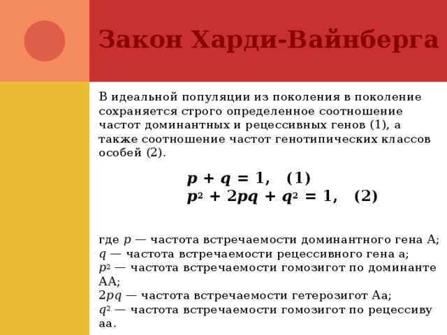 Закон Харди-Вайнберга В идеальной популяции из поколения в поколение сохраняется строго определенное соотношение частот доминантных и рецессивных генов (1), а также соотношение частот генотипических классов особей (2). p  +  q  = 1,   (1)  р 2  + 2 pq  +  q 2  = 1,   (2)  где p — частота встречаемости доминантного гена А; q — частота встречаемости рецессивного гена а; р 2 — частота встречаемости гомозигот по доминанте АА; 2 pq — частота встречаемости гетерозигот Аа; q 2 — частота встречаемости гомозигот по рецессиву аа. 