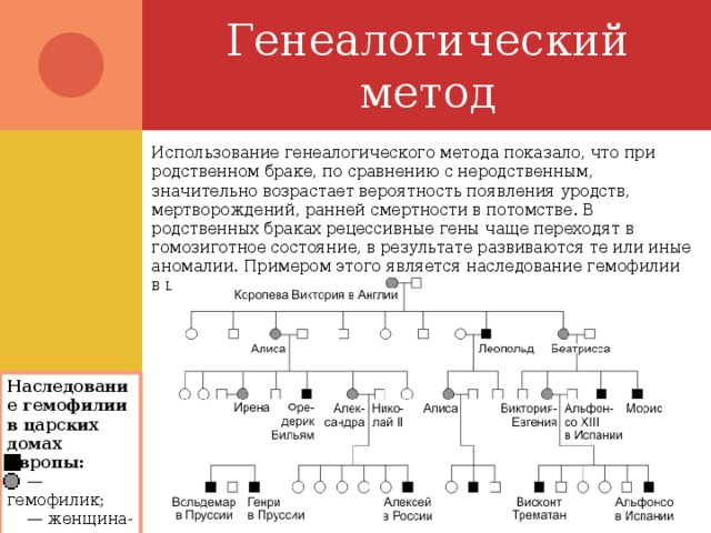 Генеалогический метод Использование генеалогического метода показало, что при родственном браке, по сравнению с неродственным, значительно возрастает вероятность появления уродств, мертворождений, ранней смертности в потомстве. В родственных браках рецессивные гены чаще переходят в гомозиготное состояние, в результате развиваются те или иные аномалии. Примером этого является наследование гемофилии в царских домах Европы. Наследование гемофилии в царских домах Европы:  — гемофилик; — женщина-носитель. 