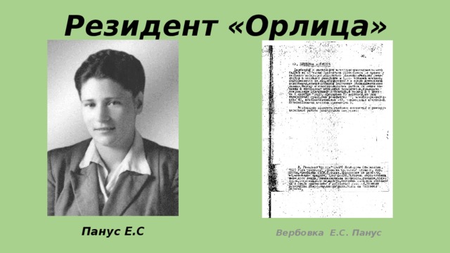 Резидент «Орлица» Вербовка Е.С. Панус Панус Е.С