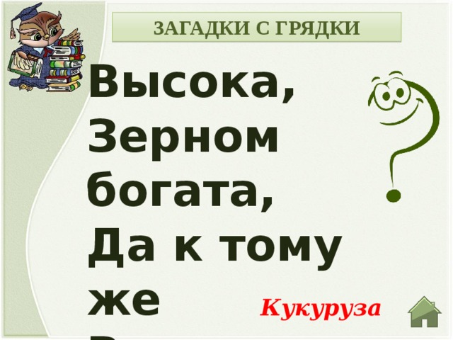 ЗАГАДКИ С ГРЯДКИ Высока, Зерном богата, Да к тому же Волосата. Кукуруза