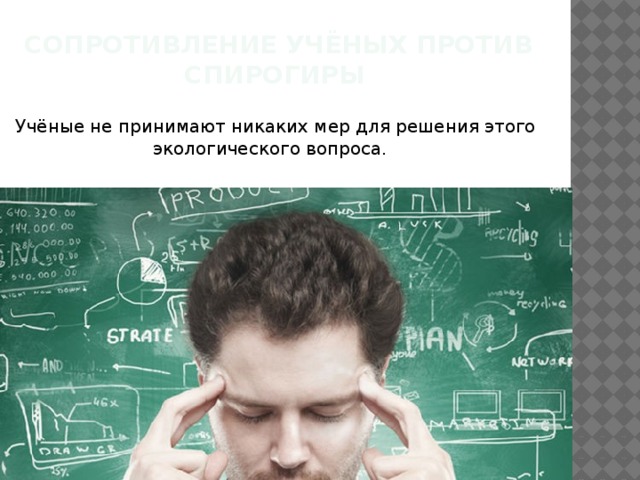 Сопротивление учёных против спирогиры Учёные не принимают никаких мер для решения этого экологического вопроса. 