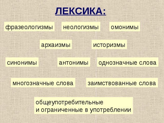 ЛЕКСИКА: фразеологизмы неологизмы омонимы архаизмы историзмы синонимы антонимы однозначные слова многозначные слова заимствованные слова общеупотребительные и ограниченные в употреблении  