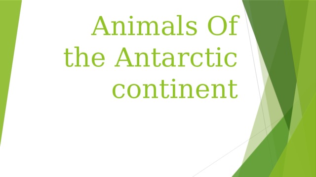 Animals Of the Antarctic continent 