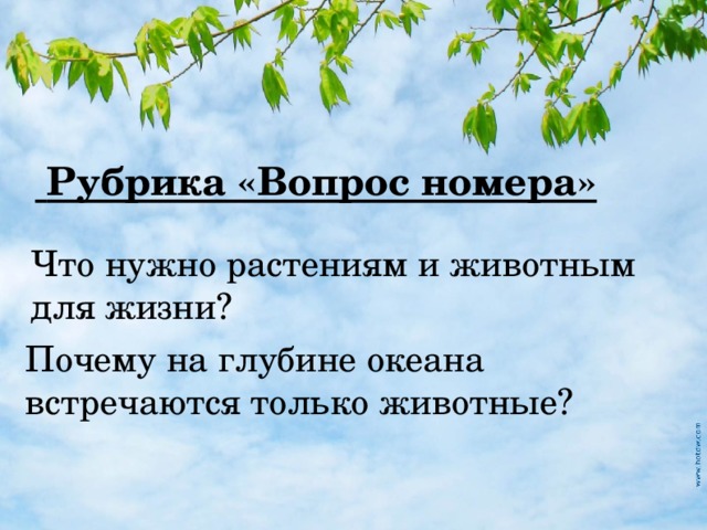  Рубрика «Вопрос номера» Что нужно растениям и животным для жизни? Почему на глубине океана встречаются только животные? 