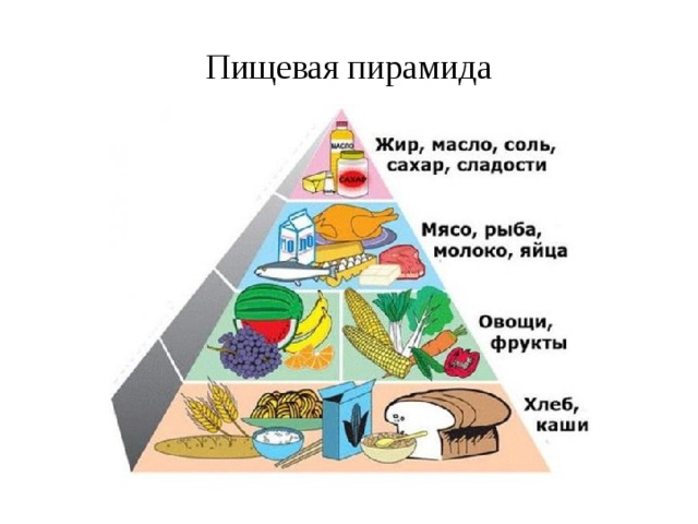 Пищевая пирамида 