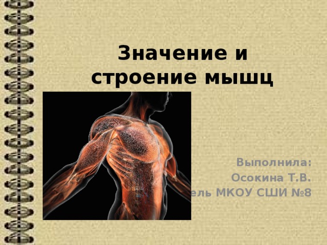 Значение и строение мышц Выполнила: Осокина Т.В. учитель МКОУ СШИ №8 