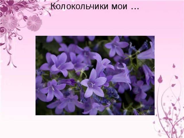 Колокольчики мои … 