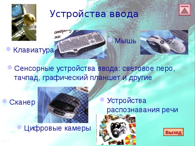  Устройства ввода Мышь Клавиатура  Сенсорные устройства ввода: световое перо, тачпад, графический планшет и другие Устройства распознавания речи Сканер Цифровые камеры Выход 