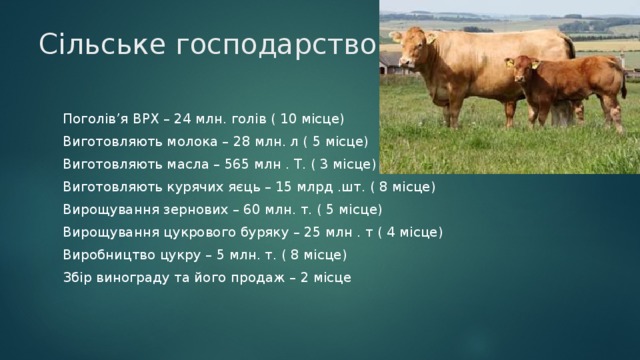 Сільське господарство Поголів’я ВРХ – 24 млн. голів ( 10 місце) Виготовляють молока – 28 млн. л ( 5 місце) Виготовляють масла – 565 млн . Т. ( 3 місце) Виготовляють курячих яєць – 15 млрд .шт. ( 8 місце) Вирощування зернових – 60 млн. т. ( 5 місце) Вирощування цукрового буряку – 25 млн . т ( 4 місце) Виробництво цукру – 5 млн. т. ( 8 місце) Збір винограду та його продаж – 2 місце 