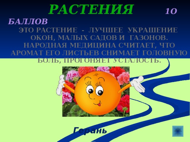  Растения 1о баллов ЭТО РАСТЕНИЕ - ЛУЧШЕе УКРАШЕНИе ОКОН, малых садов и газонов. Народная медицина считает, что аромат Его листьев снимает головную боль, Прогоняет усталость.  Герань 