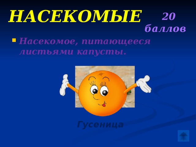 Насекомые  20 баллов Насекомое, питающееся листьями капусты.   Гусеница 