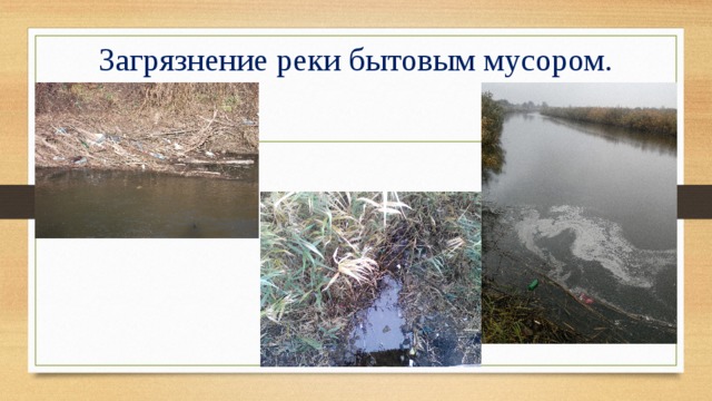 Загрязнение реки бытовым мусором. 