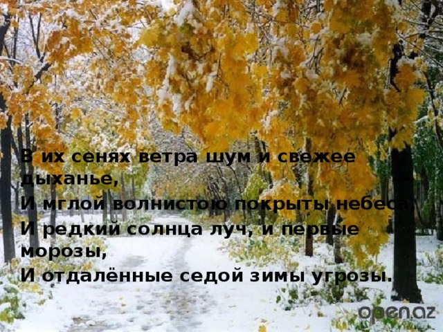 В их сенях ветра шум и свежее дыханье, И мглой волнистою покрыты небеса, И редкий солнца луч, и первые морозы, И отдалённые седой зимы угрозы. 