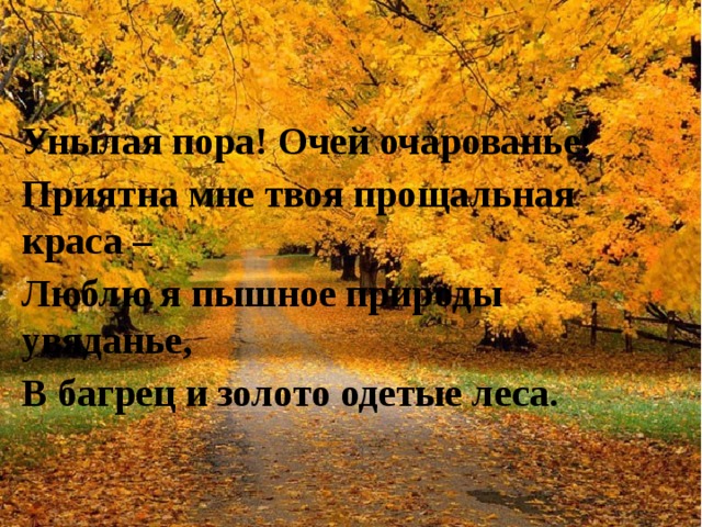 Унылая пора! Очей очарованье! Приятна мне твоя прощальная краса – Люблю я пышное природы увяданье, В багрец и золото одетые леса. 