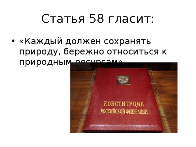 Статья 58 гласит: «Каждый должен сохранять природу, бережно относиться к природным ресурсам» 