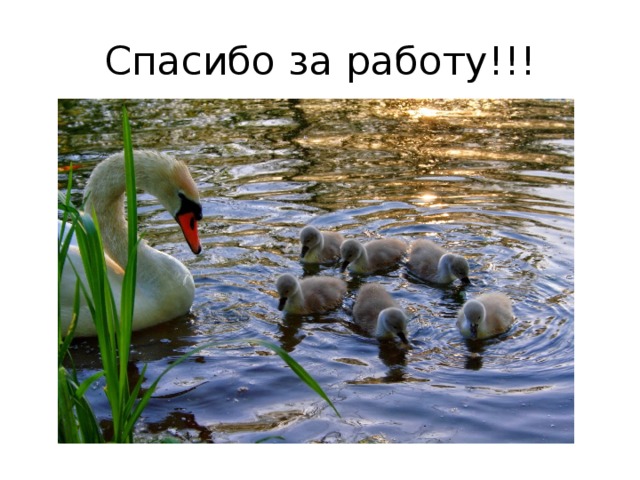 Спасибо за работу!!! 