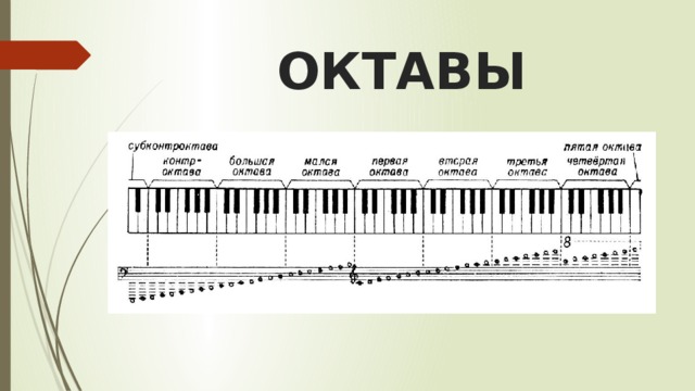ОКТАВЫ 
