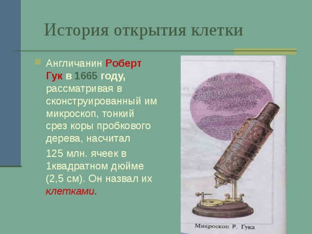 История открытия клетки Англичанин  Роберт Гук в 1665 году, рассматривая в сконструированный им микроскоп, тонкий срез коры пробкового дерева, насчитал  125 млн. ячеек в 1квадратном дюйме (2,5 см). Он назвал их клетками. 