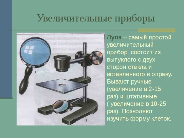  Увеличительные приборы Лупа  – самый простой увеличительный прибор, состоит из выпуклого с двух сторон стекла и вставленного в оправу. Бывают ручные (увеличение в 2-15 раз) и штативные ( увеличение в 10-25 раз). Позволяют изучить форму клеток. 