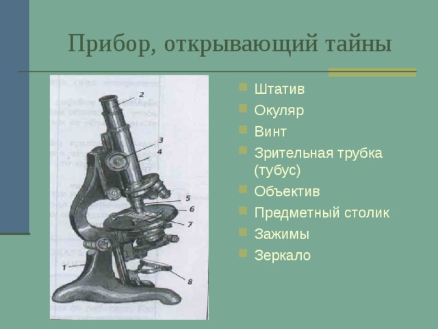  Прибор, открывающий тайны  Штатив Окуляр Винт Зрительная трубка (тубус) Объектив Предметный столик Зажимы Зеркало 