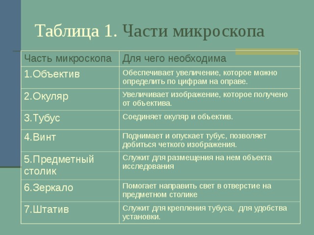 Таблица 1. Части микроскопа Часть микроскопа Для чего необходима 1.Объектив Обеспечивает увеличение, которое можно определить по цифрам на оправе. 2.Окуляр Увеличивает изображение, которое получено от объектива. 3.Тубус Соединяет окуляр и объектив. 4.Винт Поднимает и опускает тубус, позволяет добиться четкого изображения. 5.Предметный столик Служит для размещения на нем объекта исследования 6.Зеркало Помогает направить свет в отверстие на предметном столике 7.Штатив Служит для крепления тубуса, для удобства установки. 