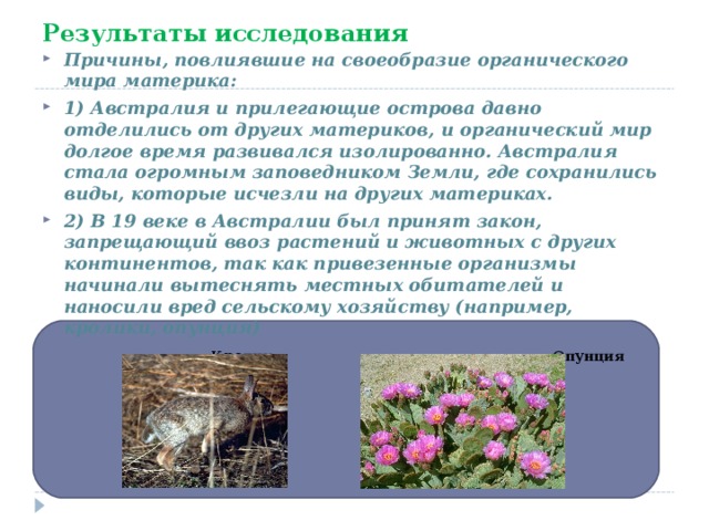Результаты исследования Причины, повлиявшие на своеобразие органического мира материка: 1) Австралия и прилегающие острова давно отделились от других материков, и органический мир долгое время развивался изолированно. Австралия стала огромным заповедником Земли, где сохранились виды, которые исчезли на других материках. 2) В 19 веке в Австралии был принят закон, запрещающий ввоз растений и животных с других континентов, так как привезенные организмы начинали вытеснять местных обитателей и наносили вред сельскому хозяйству (например, кролики, опунция)  Кролик Опунция 