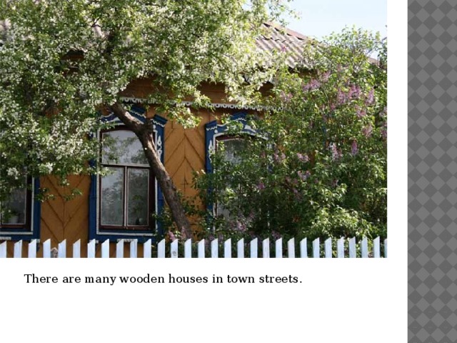 There are many wooden houses in town streets. 