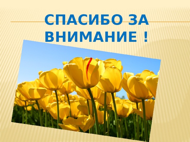 Спасибо за внимание ! 